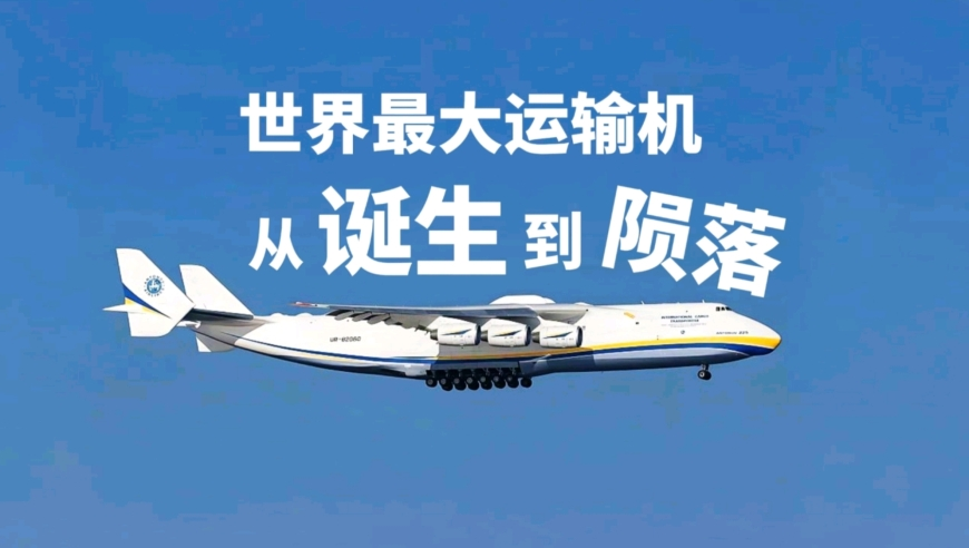 被曝光一次性内裤厂家已贴封条,香港王中王正版资料查询,整体规划执行讲解_基础版V14.80